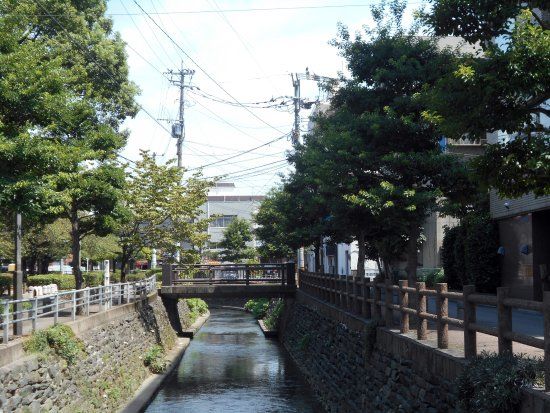 三本松公園