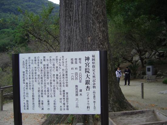 神宮院