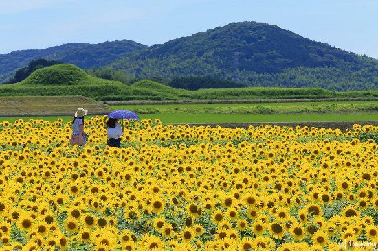 新原・奴山古墳群