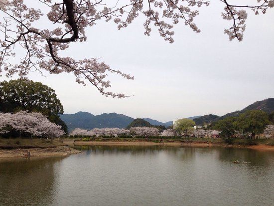 甘木公園