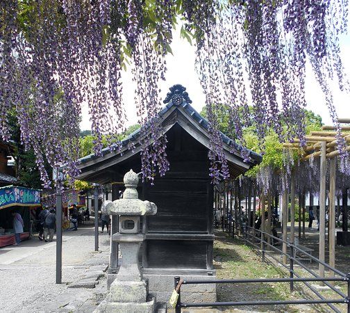 素盞鳴神社