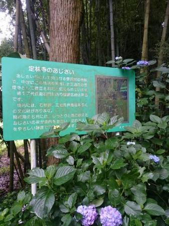 定林寺