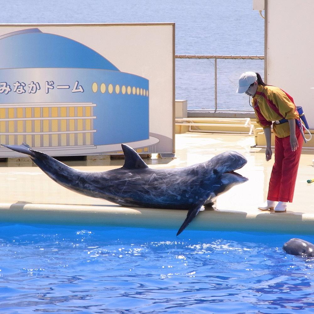マリンワールド海の中道