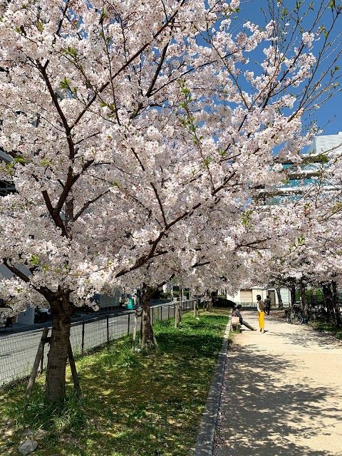 中比恵公園