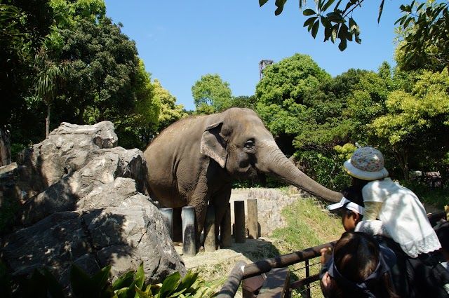 到津の森公園