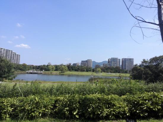 アイランドシティ中央公園