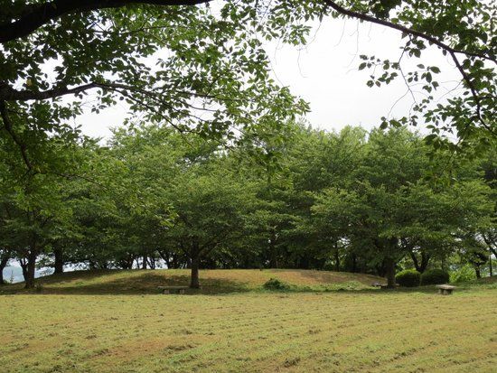 城山緑地公園