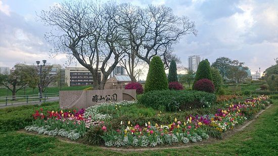 勝山公園