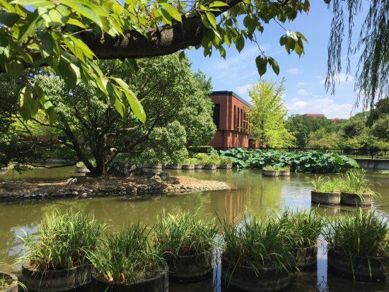 久留米市美術館