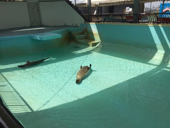 大牟田市動物園