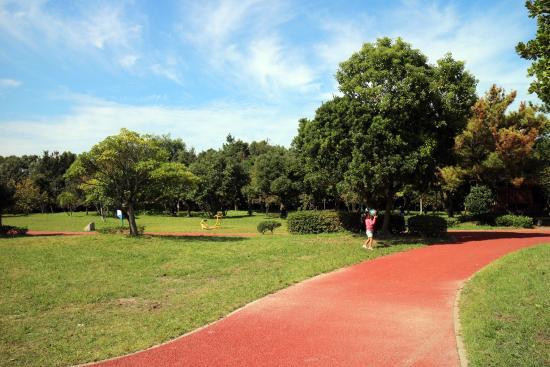 今津運動公園